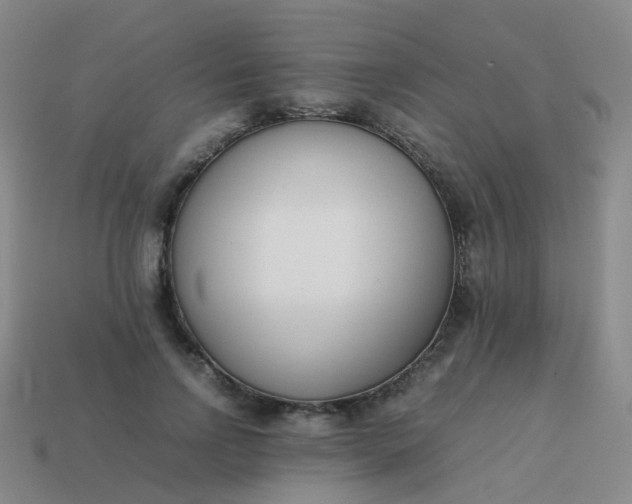 X0000113870742200910081726