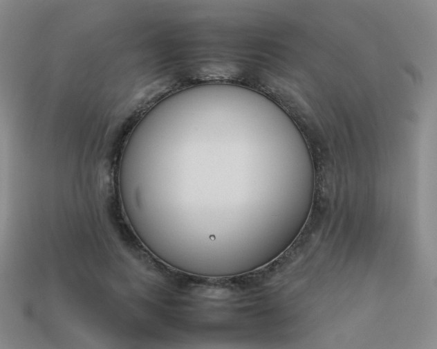 X0000113870743200910081726