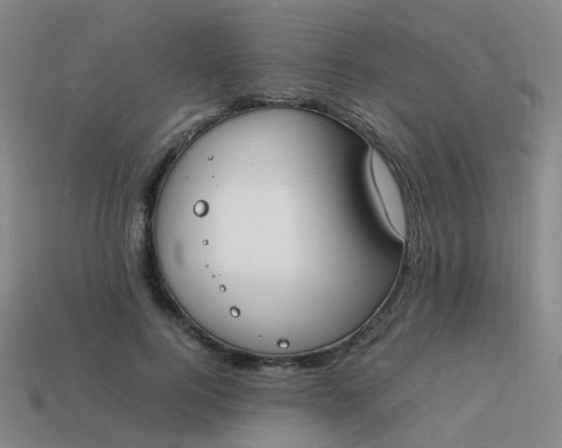 X0000113870744200910081726