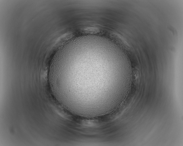 X0000113870745200910081726