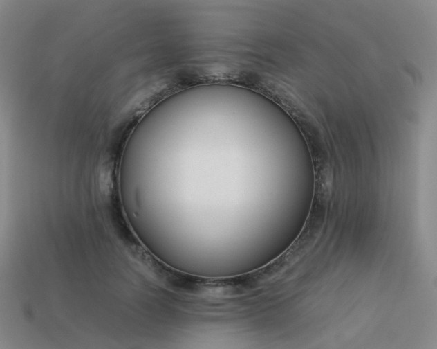 X0000113870746200910081726