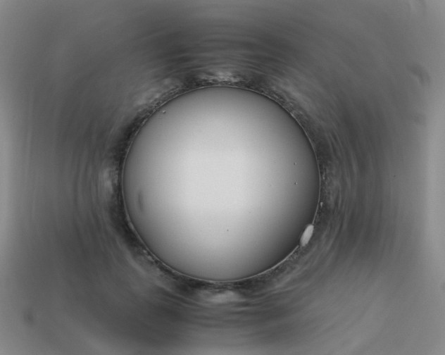 X0000113870747200910081726