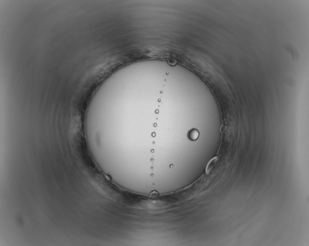 X0000113870748200910081726