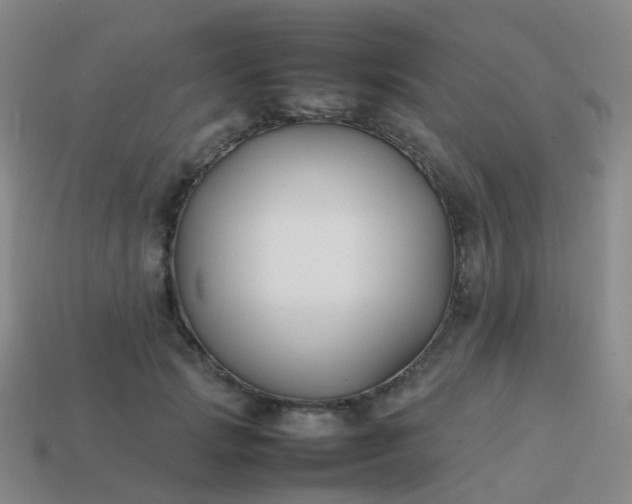 X0000113870749200910081726