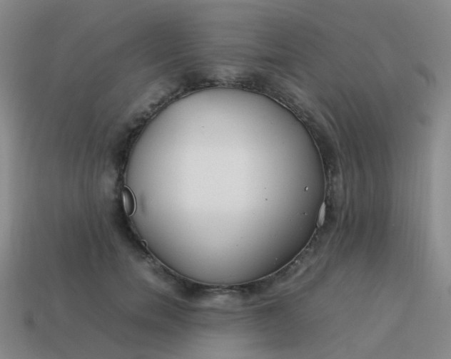 X0000113870750200910081726