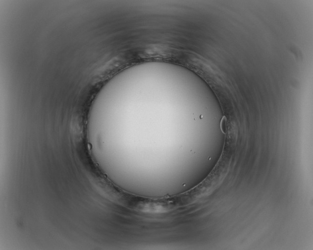 X0000113870751200910081726