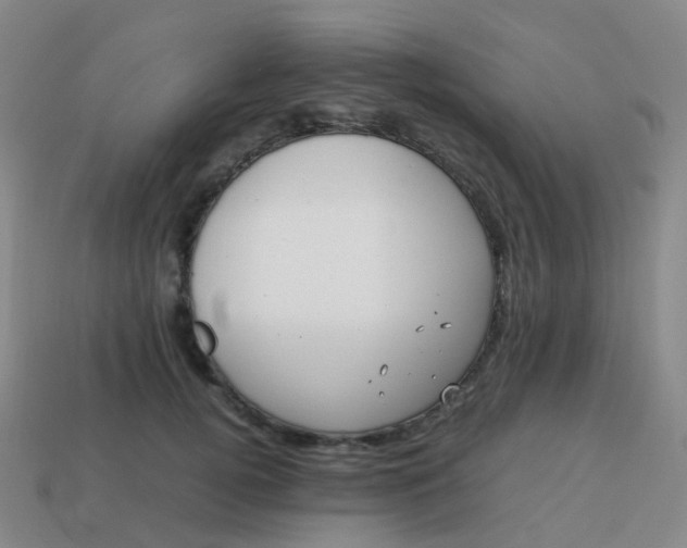 X0000113870752200910081726