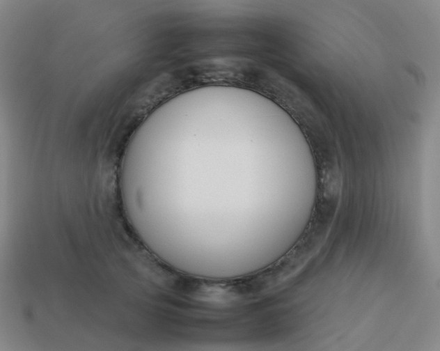 X0000113870753200910081726