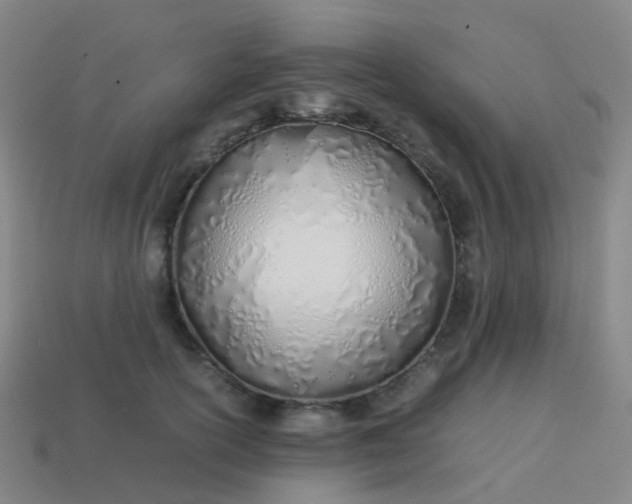 X0000113870754200910081726