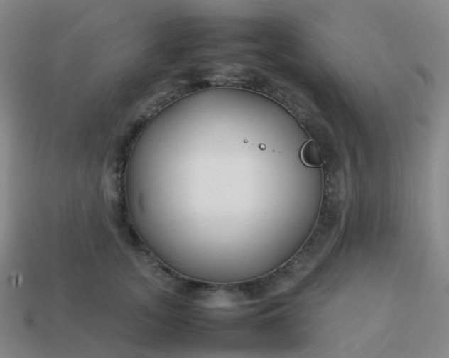 X0000113870755200910081726