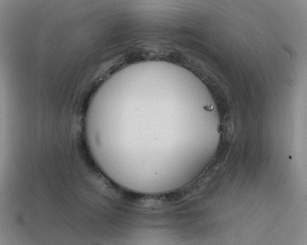 X0000113870756200910081726