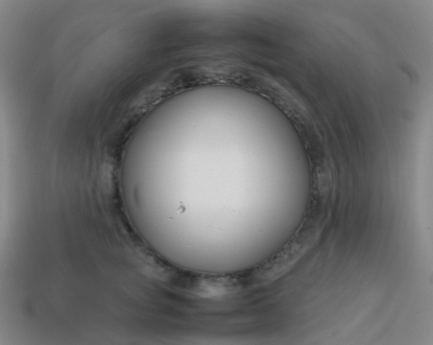 X0000113870757200910081727