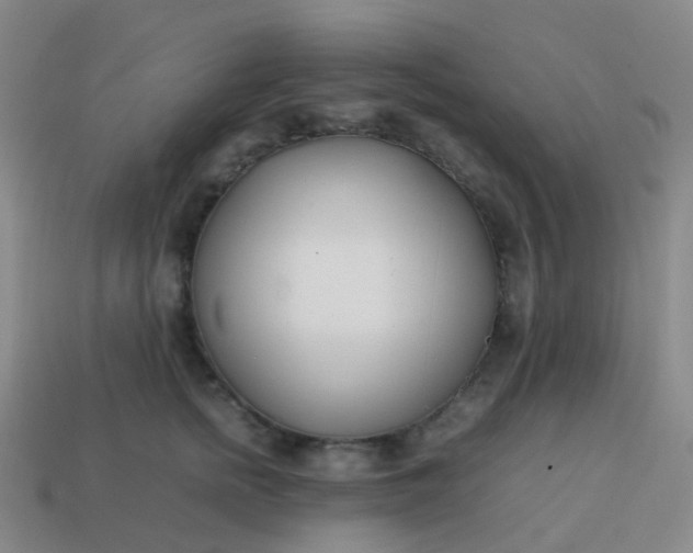 X0000113870758200910081727