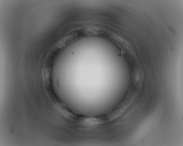 X0000113870759200910081727