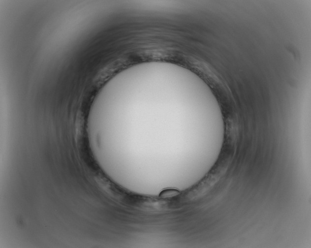 X0000113870760200910081727