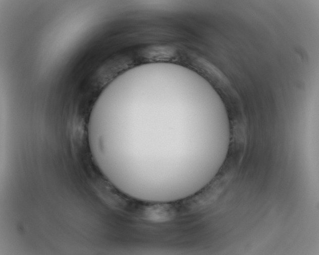 X0000113870761200910081727