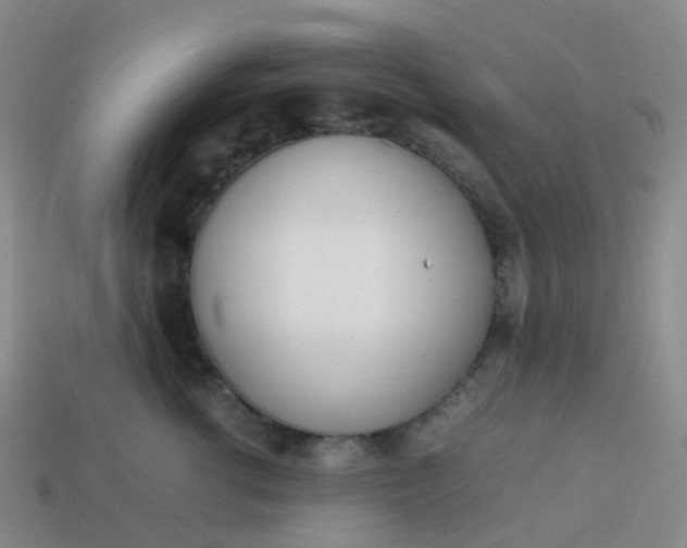 X0000113870762200910081727