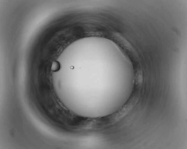 X0000113870764200910081727