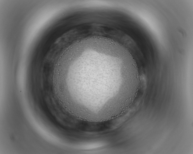 X0000113870765200910081727