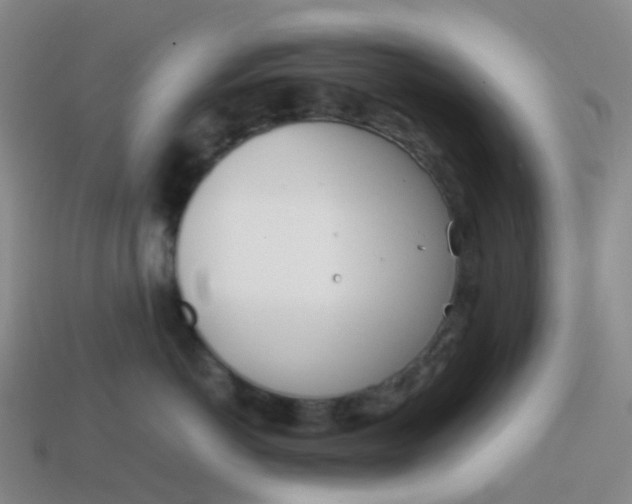 X0000113870766200910081727