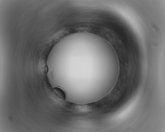 X0000113870767200910081727