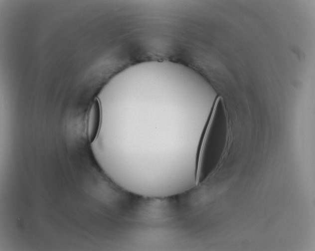 X0000113870768200910081727