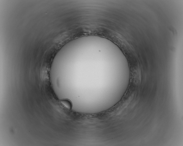 X0000113870770200910081726