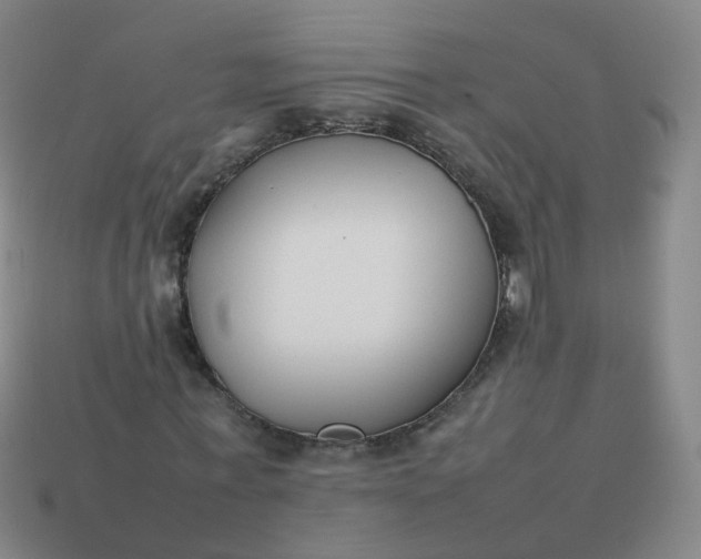 X0000113870771200910081726