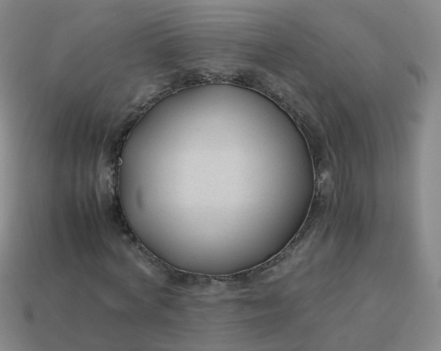 X0000113870772200910081726