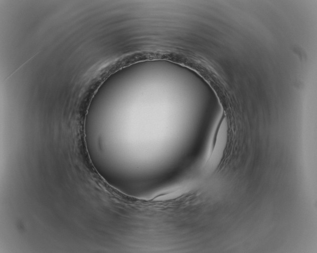 X0000113870773200910081726