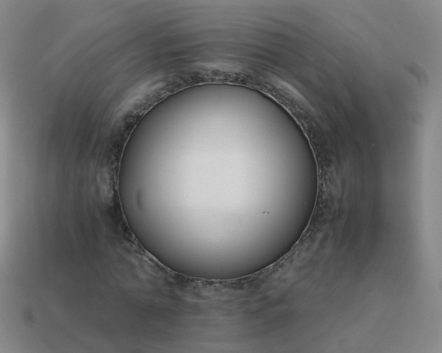 X0000113870774200910081726