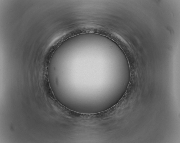 X0000113870775200910081726