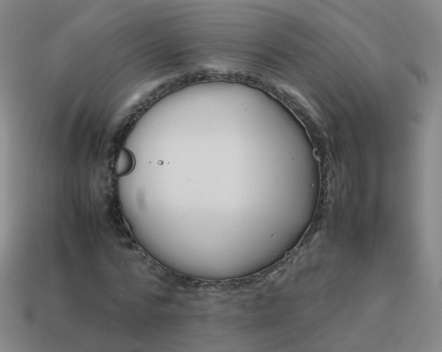 X0000113870776200910081726