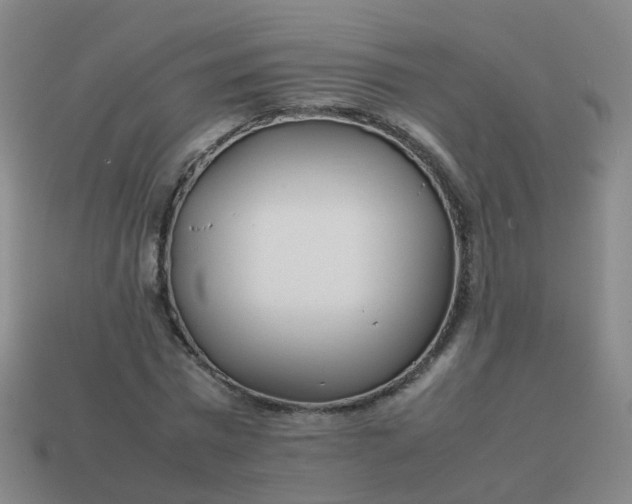 X0000113870777200910081726