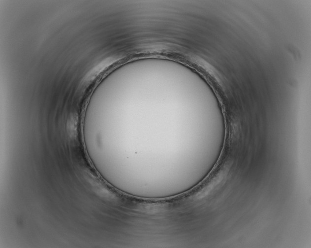 X0000113870778200910081726