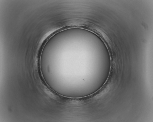 X0000113870779200910081726