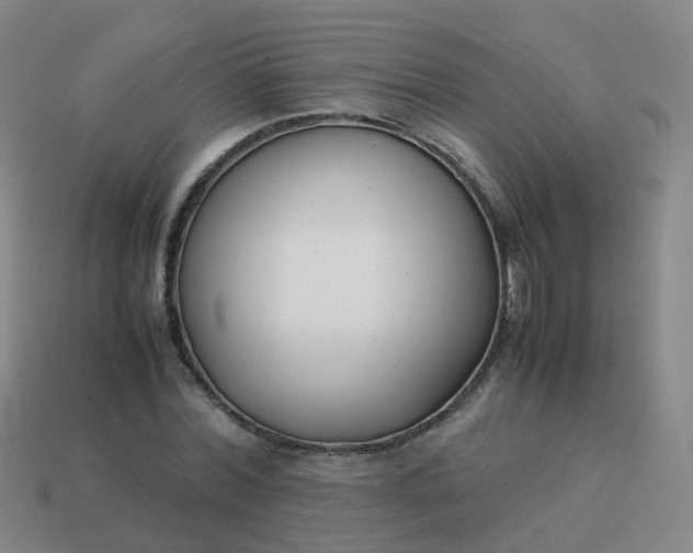 X0000113870780200910081726