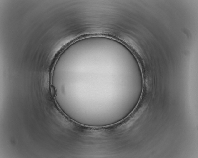 X0000113870781200910081726