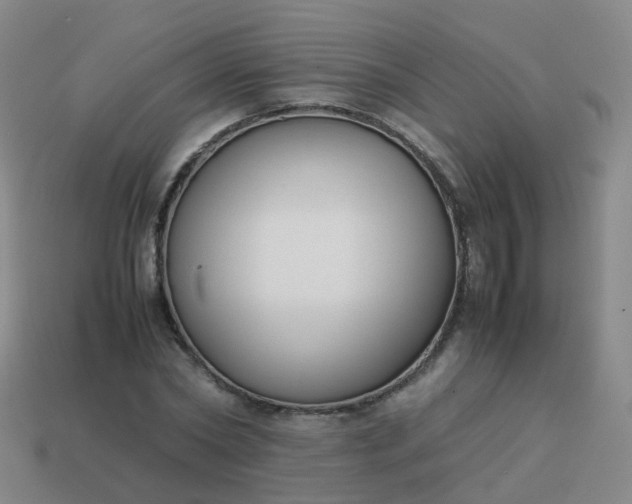 X0000113870782200910081726