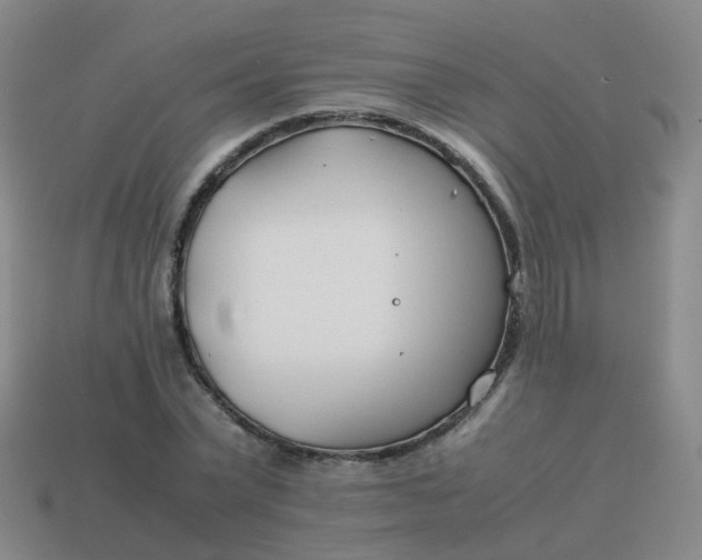 X0000113870783200910081726