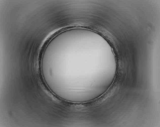 X0000113870784200910081726