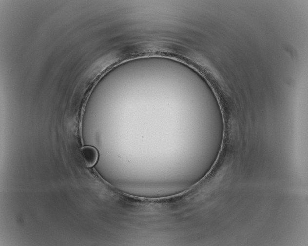 X0000113870785200910081726