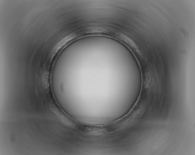 X0000113870786200910081726