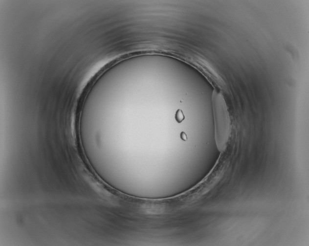 X0000113870788200910081726