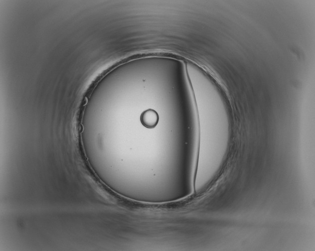 X0000113870789200910081726