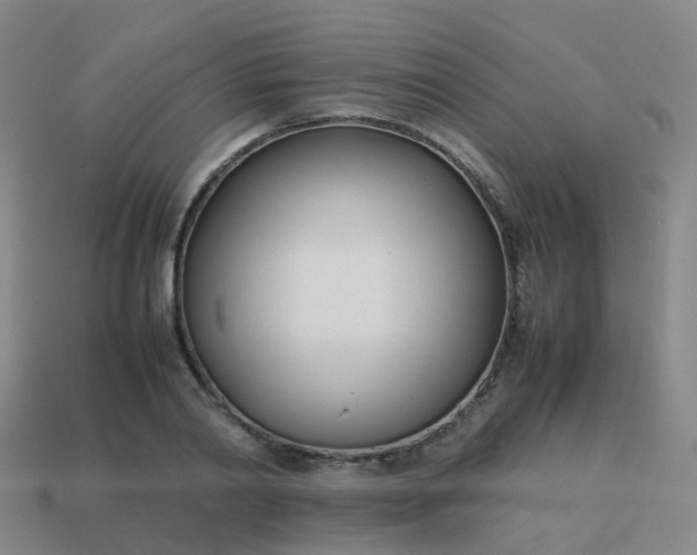 X0000113870790200910081726