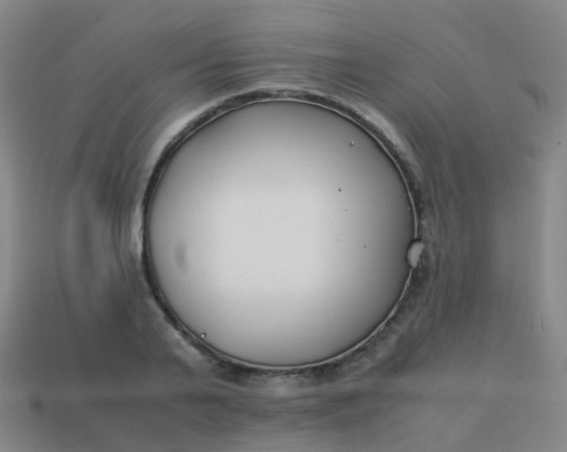 X0000113870791200910081726