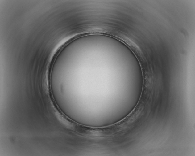 X0000113870792200910081726