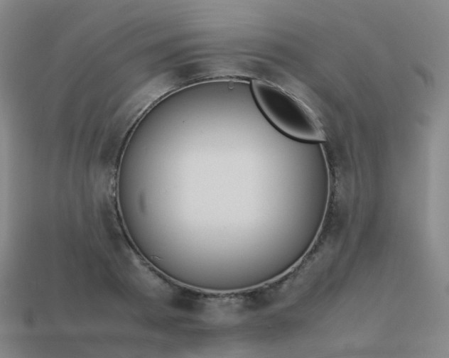 X0000113870793200910081726