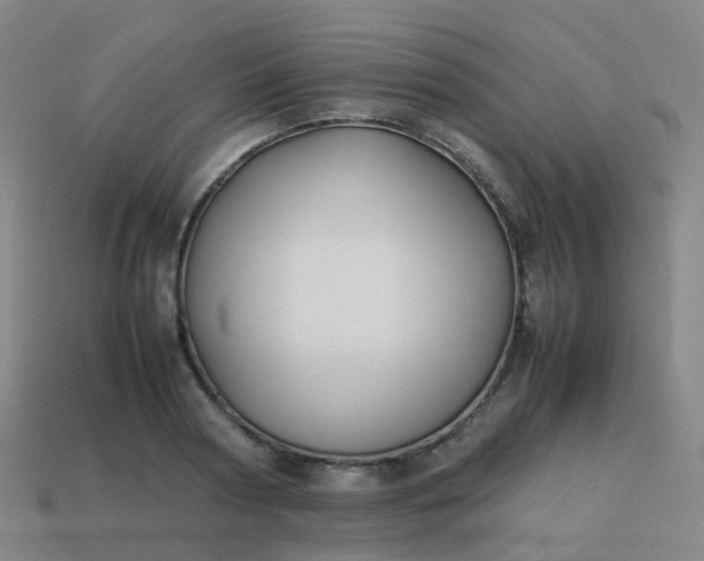 X0000113870794200910081726